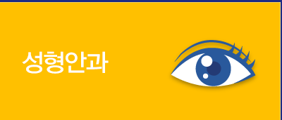 성형안과